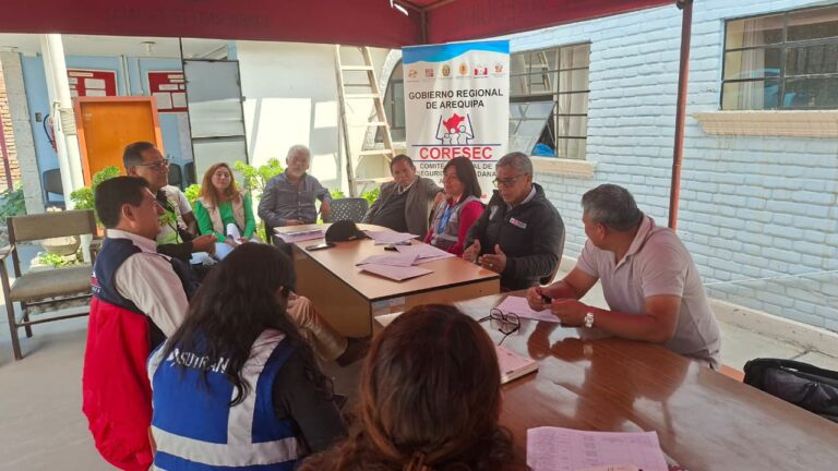 CORESEC capacita a instituciones en elaboración de informe de seguridad ciudadana