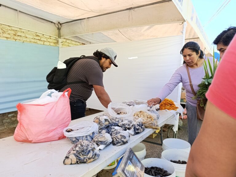 Sector pesquero se prepara para abastecer productos en Semana Santa