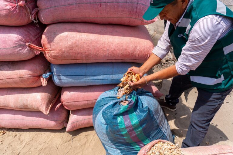 Serfor decomisa más de 7400 kilos de vainas de tara en Tacna