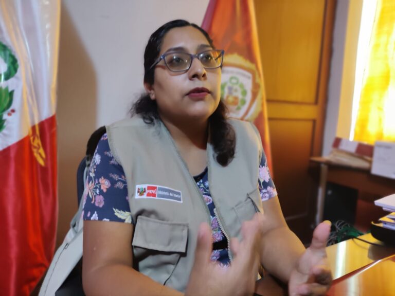 Mollendo: Comité de Salud prioriza lucha contra la anemia infantil