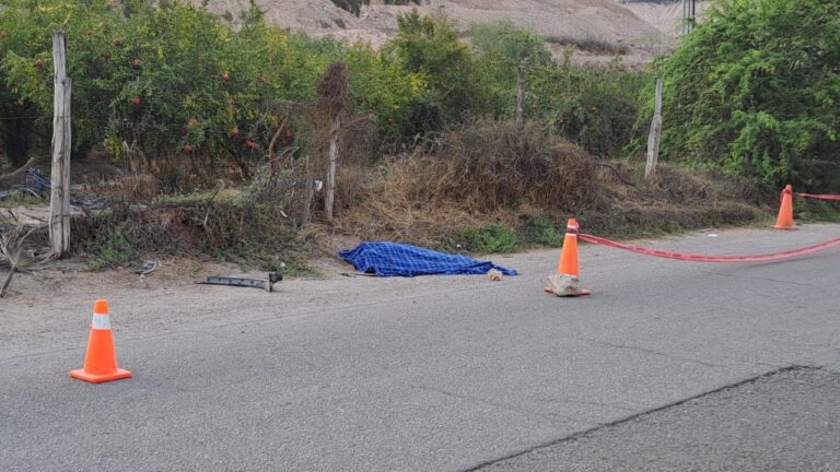 Hombre murió atropellado cerca del INIA en San Antonio