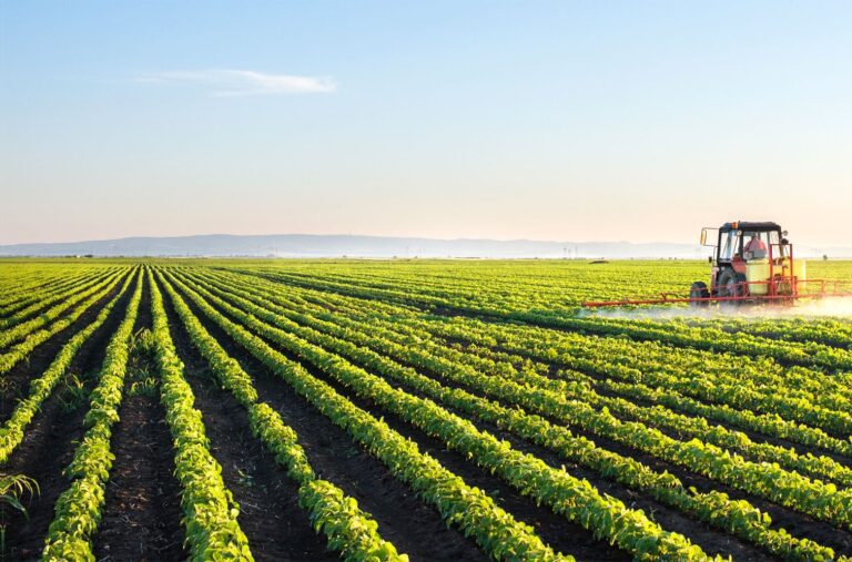 Hoy: debatirán propuesta de tecnoparque agroindustrial para la provincia de Islay