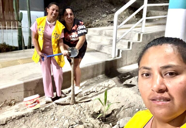 Club de Leones de Mollendo promueve campaña de arborización en la ciudad