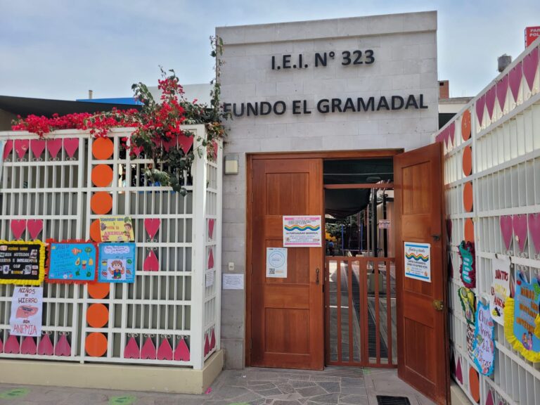 Detectan nueve casos de varicela en aula de jardín del fundo Gramadal