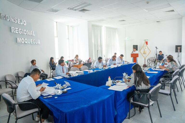 Consejo Regional aprueba S/ 1.4 millones para obra vial en Omate y saneamiento en Pacocha