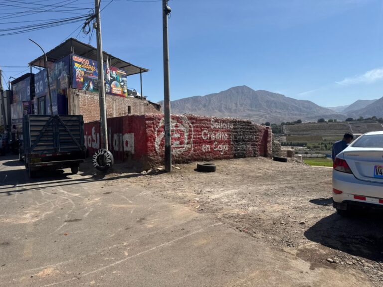 Recuperan espacio público ocupado por invasores en la avenida Ejército