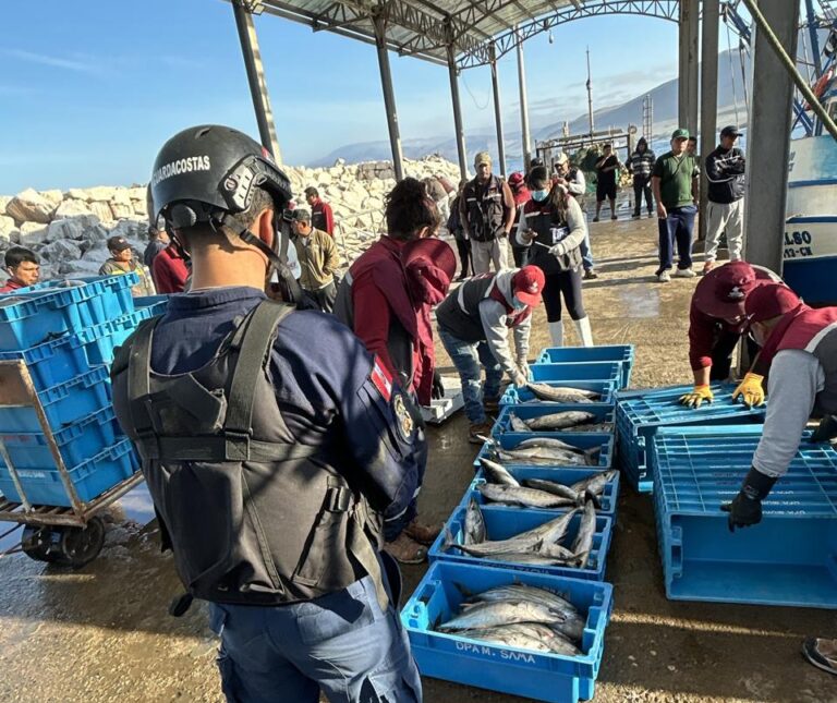 Intervienen dos embarcaciones por pesca ilegal de bonito 