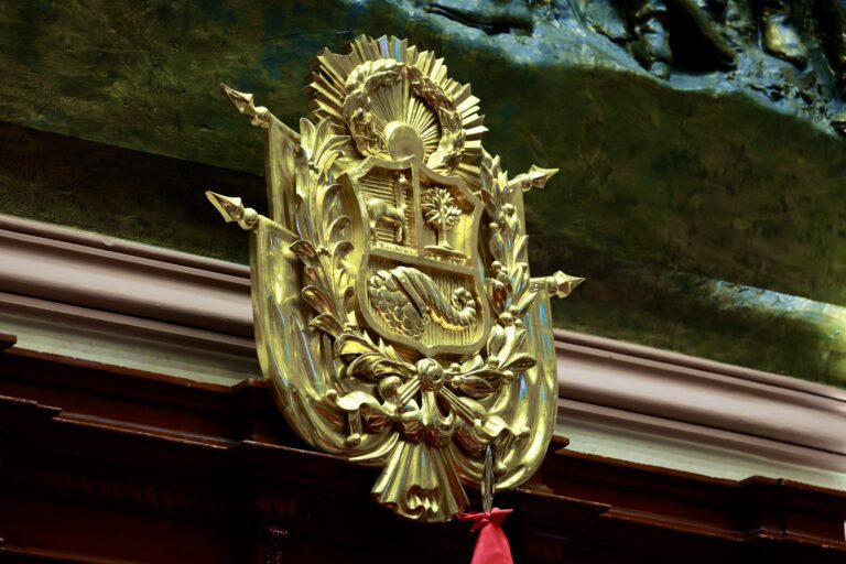 El senado que nos espera