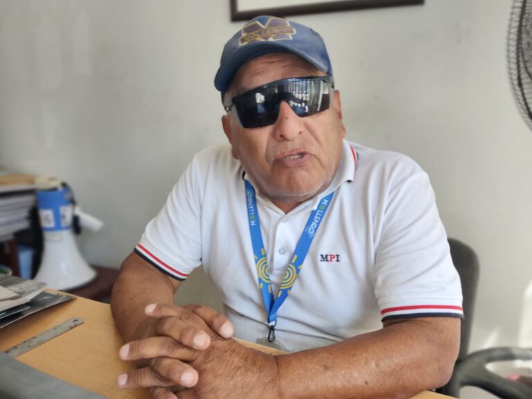 Palmeras sí pueden adaptarse a las playas de Mollendo, según historiador