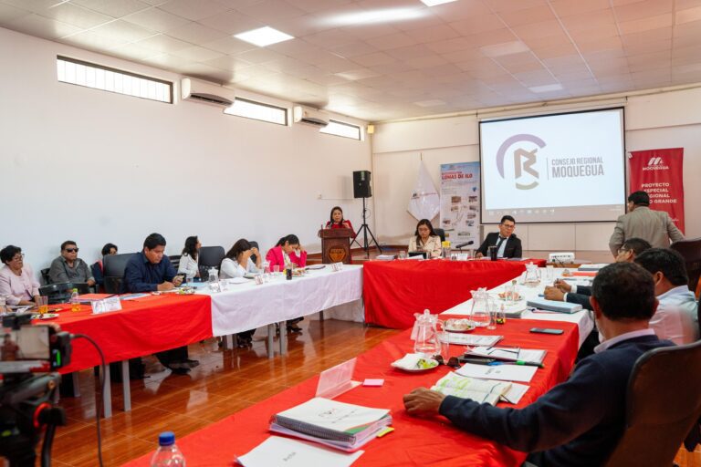FDM sustentó estado real del proyecto Chilota-Chincune ante el Consejo Regional