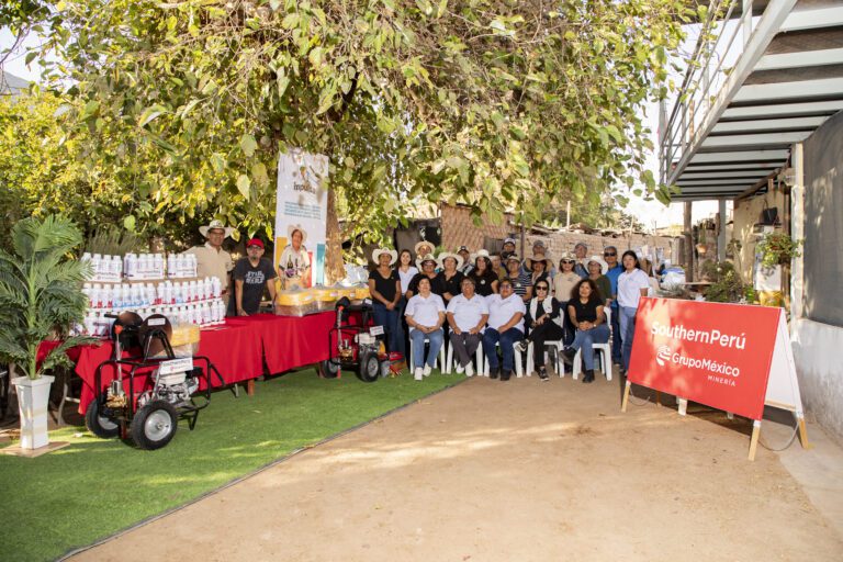 Impulsa Ilo fortalece cultivos de olivo en el valle de El Algarrobal