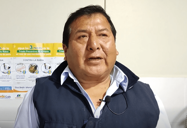 Incremento de mosquitos en Ilo genera alerta sanitaria por charcos formados en la ribera del río Osmore