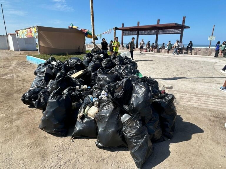 PeruanaMente: recolectan 2 t de residuos en playas de Punta de Bombón