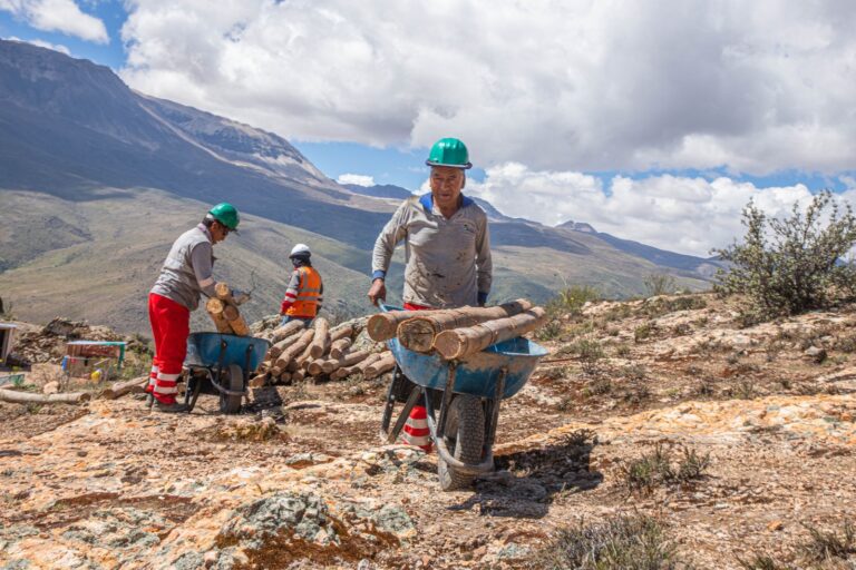 Avanza recuperación forestal en Soquesane con más de 40 mil plantones