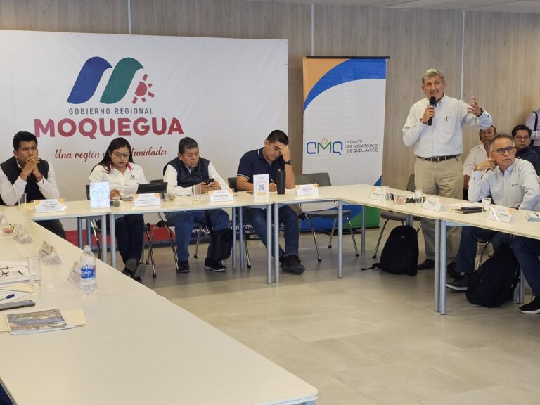 CMQ convoca a taller de capacitación para MAP 14 de Quellaveco