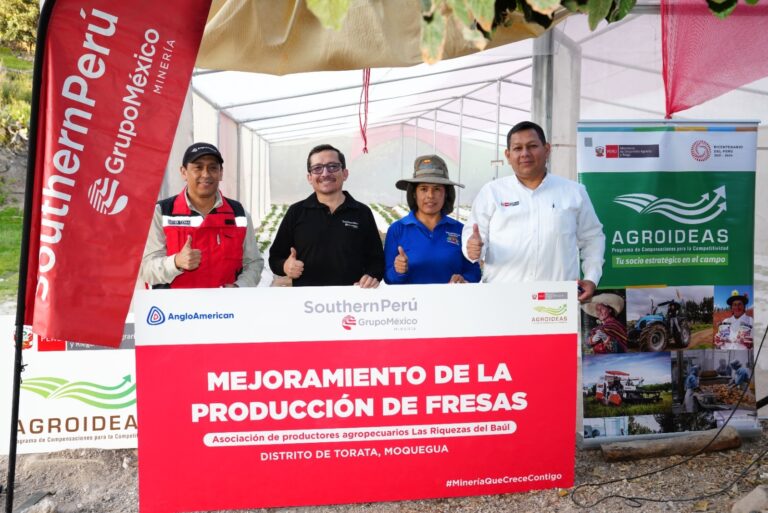 Southern Perú entrega invernaderos para impulsar el cultivo de fresas en Torata