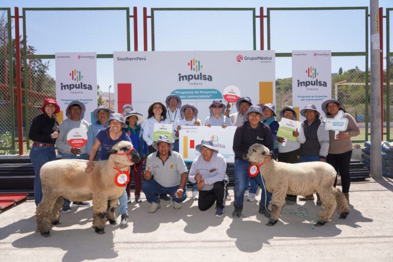 Southern Perú impulsa la crianza y producción de ganado ovino en Torata