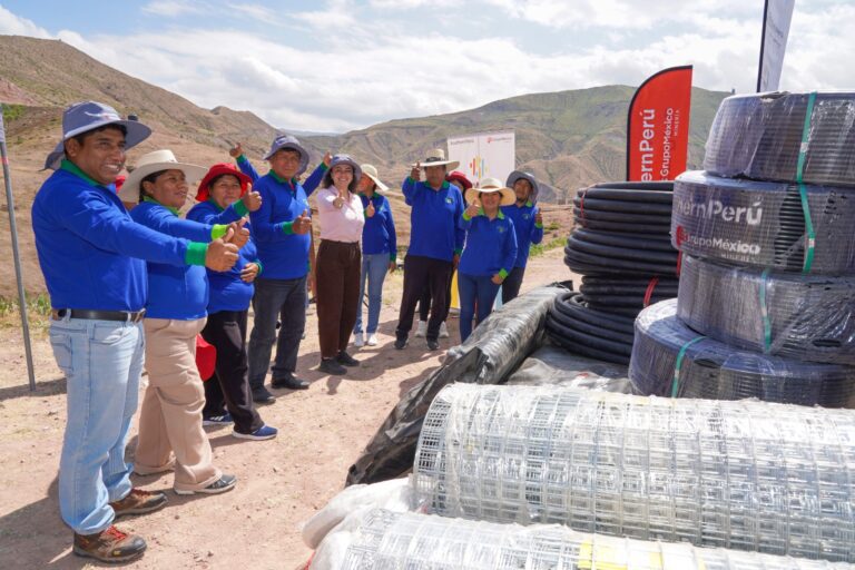 Southern Perú impulsa la producción de palto con riego tecnificado en Torata