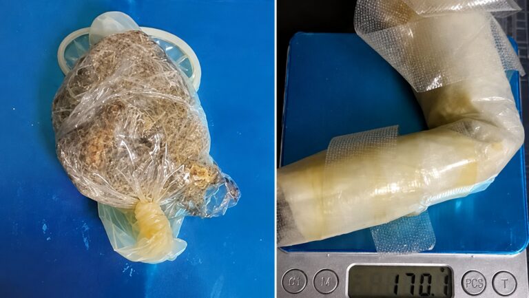 INPE interviene a dos visitantes por intentar ingresar droga y un chip al penal de Moquegua
