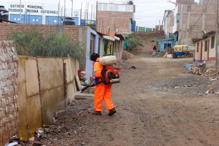 Realizarán campaña de fumigación y desinfección en Matarani