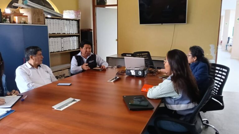 Coordinan acciones para controlar presencia de “moscas negras” en Pacocha