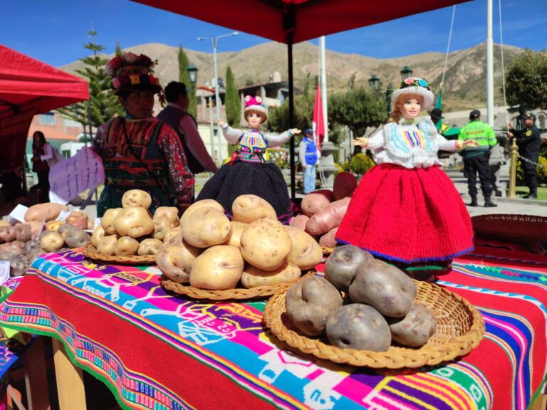 Carumas realizará Festival de la Papa con concursos gastronómicos y exposición de variedades nativas