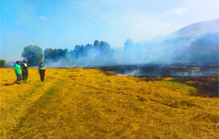 Sofocan incendio tras quema de rastrojos en El Arenal