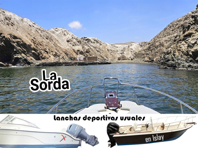 Sorda pero no muda, navegación deportiva en Islay