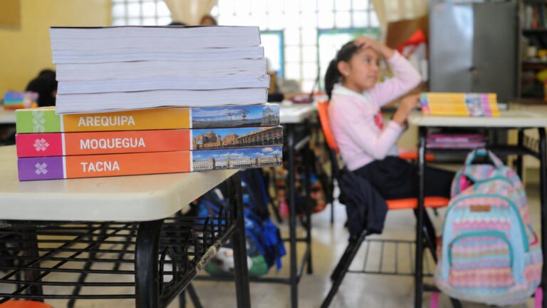 Niños de cuarto grado de primaria reducen niveles de lectura en el sur