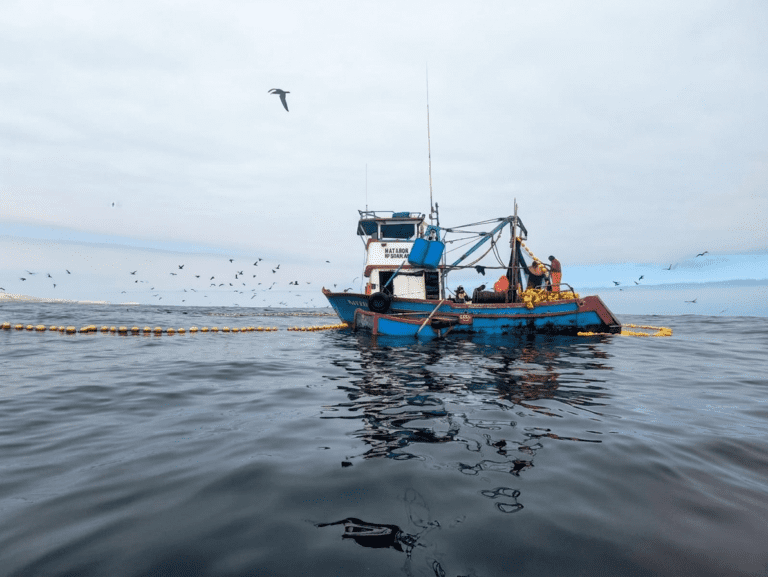 Capitanía de Puerto: incautan más de 800 kilos de bonito en operativo conjunto