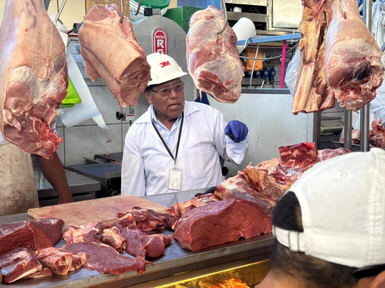 Detectan carne en descomposición durante operativo sanitario en Mercado Central de Moquegua