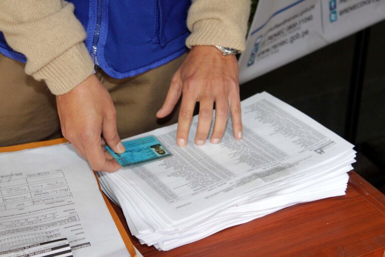 Electores representados y no representados