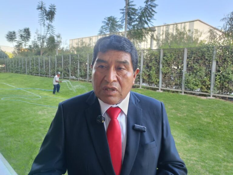 Advierten que intenso invierno pondría en riesgo a productores alpaqueros de Moquegua