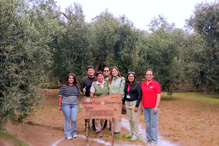 Ilo afina circuito de olivoturismo para su próximo lanzamiento