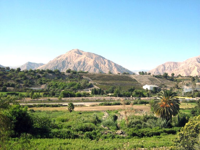 Convocan a agricultores para participar en diagnóstico del proyecto ampliación de frontera agrícola