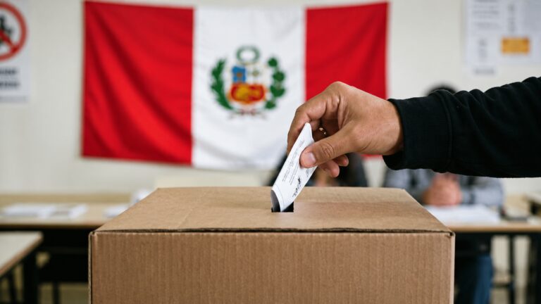 Animalia política: elecciones una tras otra