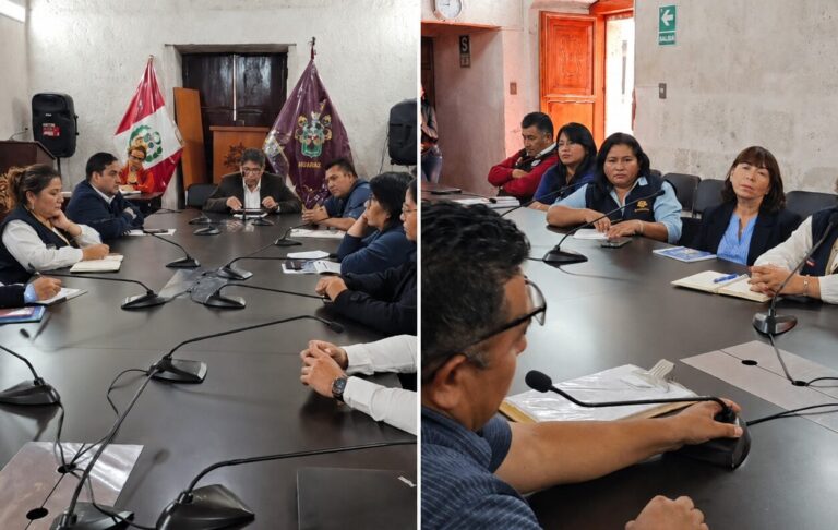Consejo Regional aborda contaminación por metales pesados en Islay con AUPI