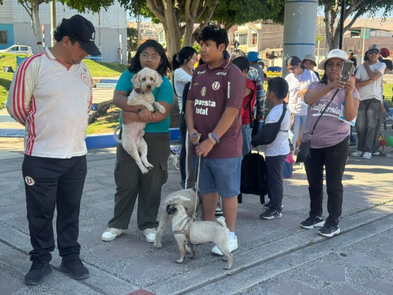 Realizan IV campaña “Patitas Felices” en San Antonio