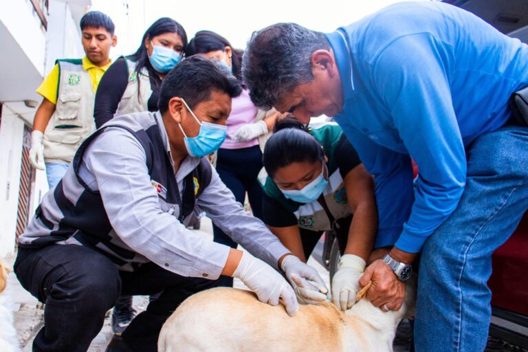 Desparasitación gratuita para mascotas en Deán Valdivia