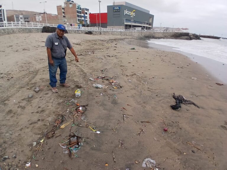 Monitor ambiental reporta acumulación de residuos en playa El Diablo de Ilo