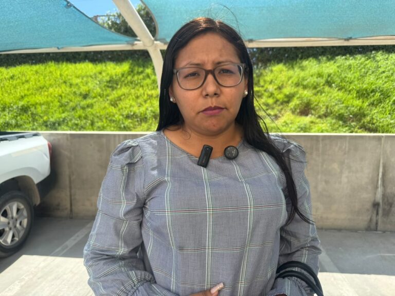 Consejo Regional evaluará observaciones de OEFA en proyecto minero San Gabriel