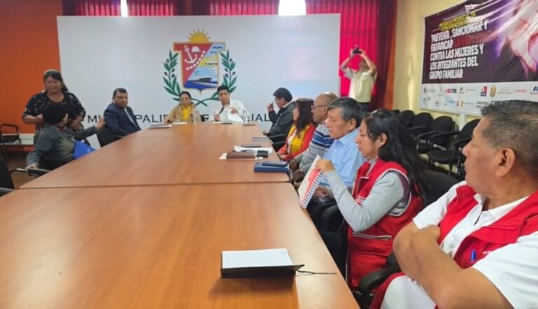 Aprueban plan de trabajo para prevenir la violencia contra la mujer y el grupo familiar