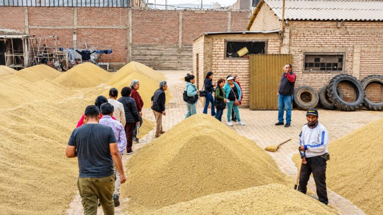Integrantes de comedores populares recorren atractivos de Cocachacra 20062026 3 La Prensa Regional