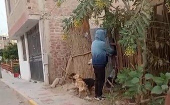 Madre e hijas denuncian hostigamiento de vecino y piden garantías por temor a agresiones