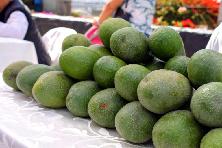 Los Ángeles será sede del Festival de la Palta este 20 de junio