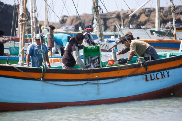 Pescadores de la Macro Sur piden salida de viceministro 