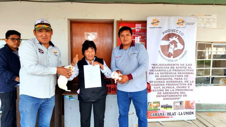 Productores de Deán Valdivia reciben cuyes de alto valor genético para mejorar su crianza