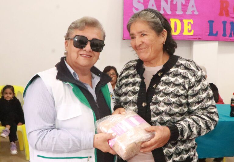 Taller de manualidades reúne a adultos mayores del CIAM Santa Rosa de Lima