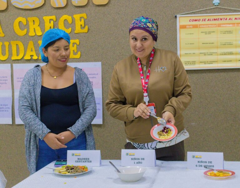 Mejía y Cocachacra orientan a familias para prevenir anemia infantil
