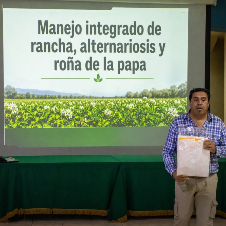 Cocachacra: agricultores se capacitan sobre la papa